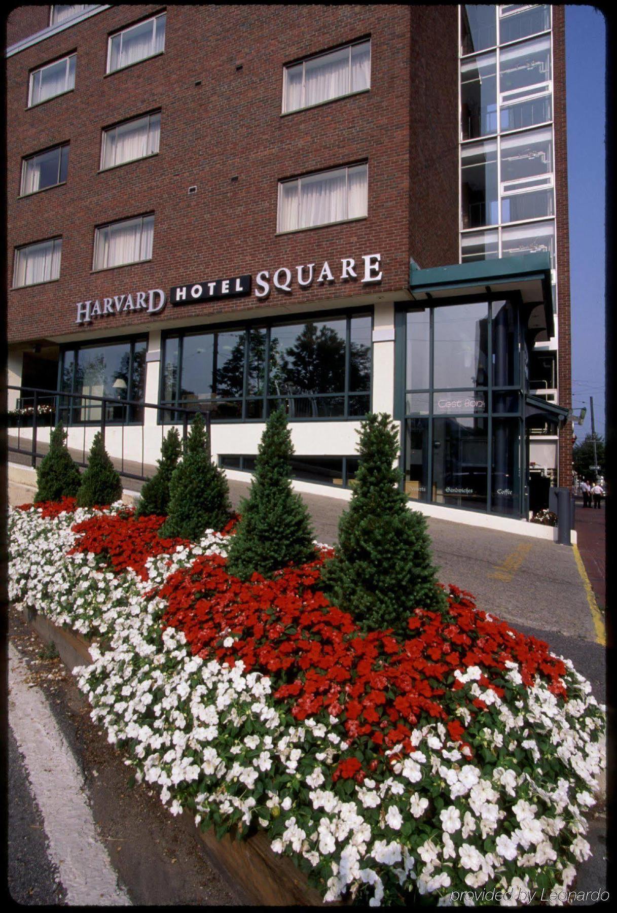 Harvard Square Hotel Cambridge Dış mekan fotoğraf